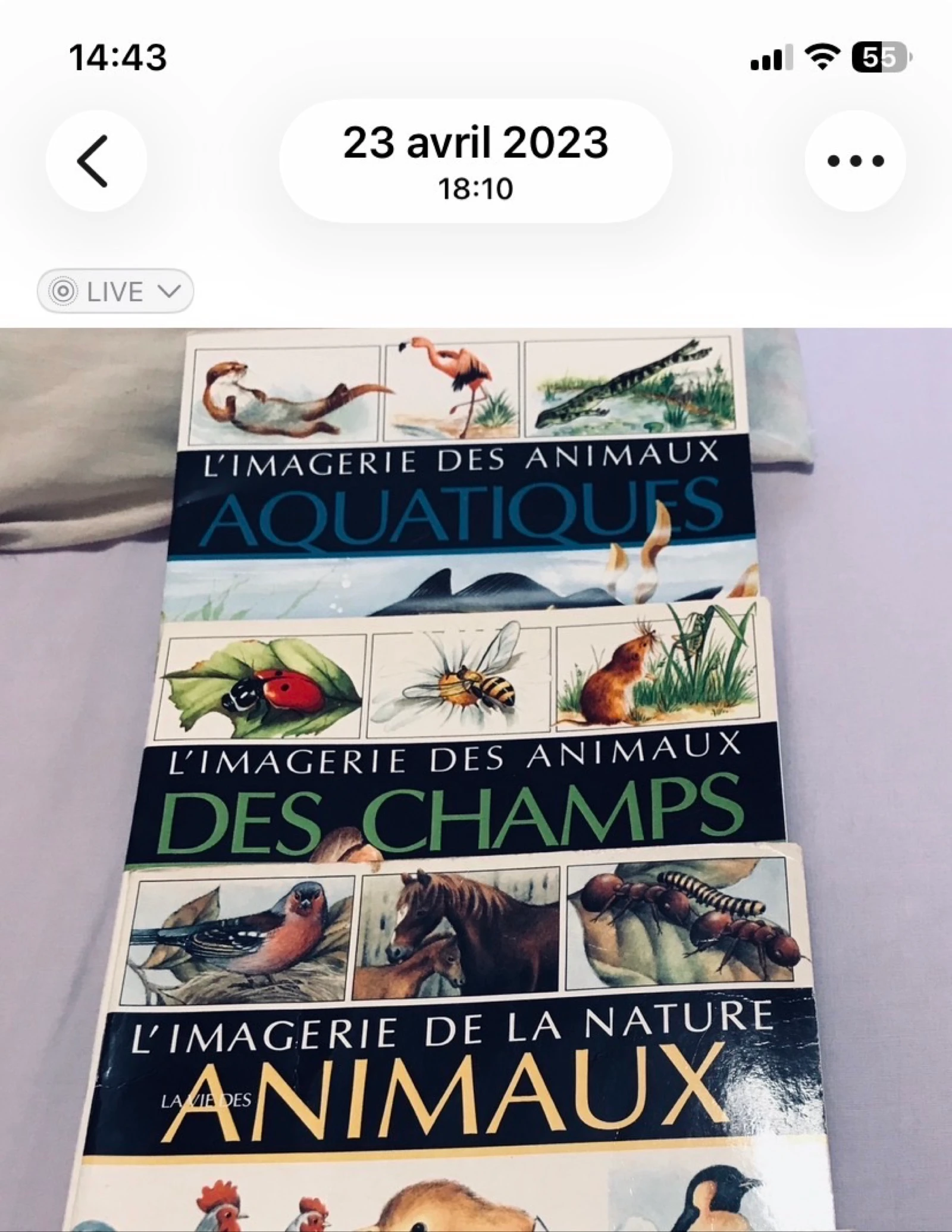 Lot de 12 livres pour enfants